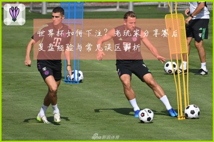 世界杯如何下注？老玩家分享赛后复盘经验与常见误区解析