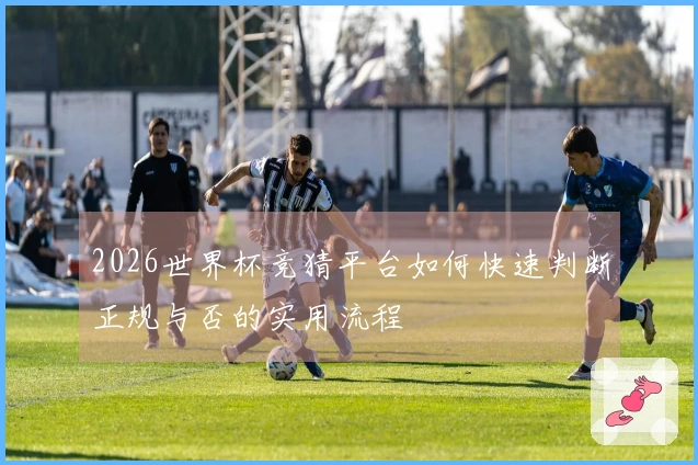 2026世界杯竞猜平台如何快速判断正规与否的实用流程